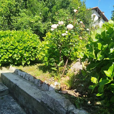 Casa Raquel Holiday home Ribadesella